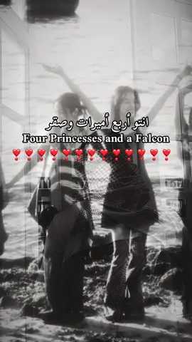 Four Princesses and a Falcon❣️❣️❣️❣️❣️❣️❣️#########