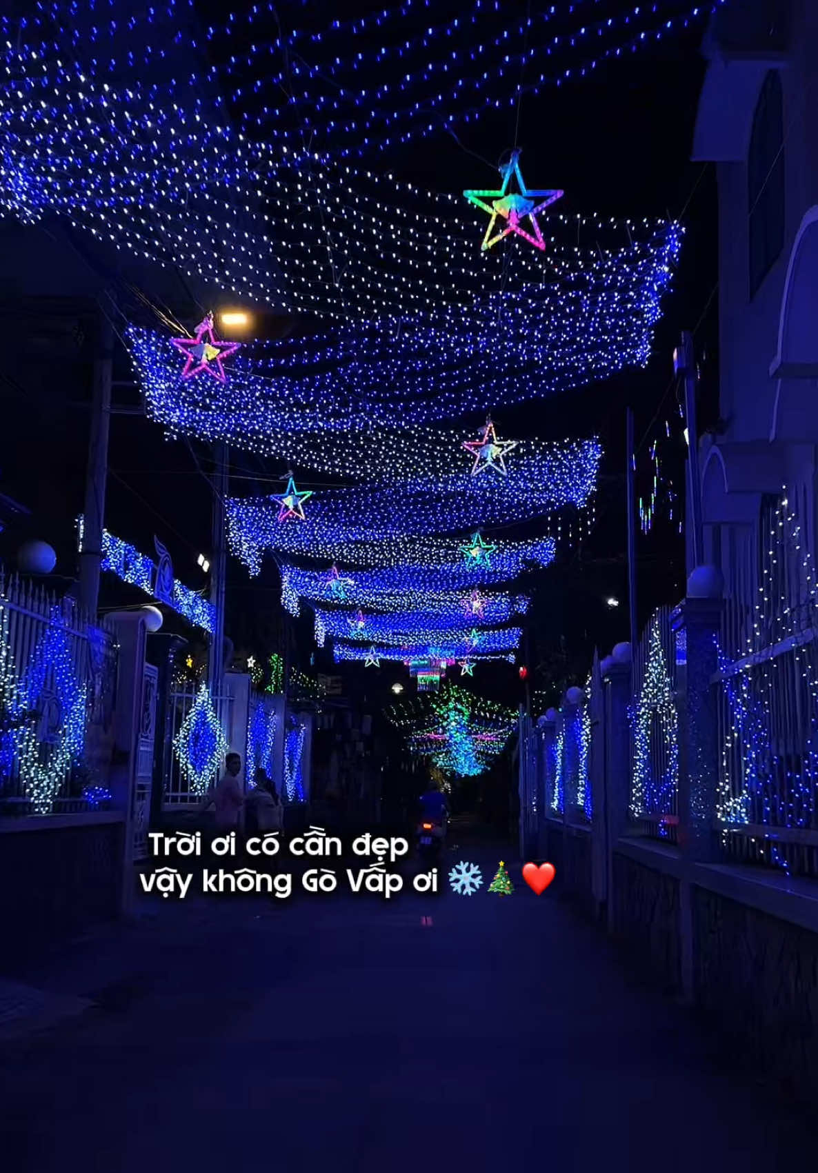 GÒ VẤP đã lên con đường giáng sinh lấp lánh hàng ngàn bóng đèn led #nhatho #noel #govap #giangsinh #giangsinh2025 