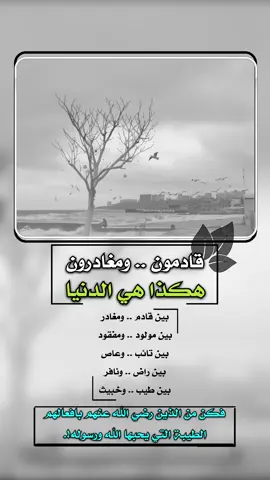 قادمون ومغادرون #هكذا_هي_الدنيا بين قادم ومغادر بين مولود ومفقود #إيفان_الجيزانيه #دينيه #حكم_وأمثال_وأقوال #قادمون_ومغادرون 