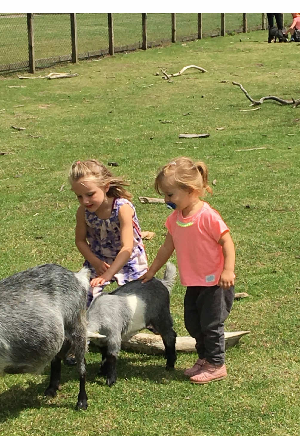 @Sofie Lærke🧡 🩵Liva og Annabell vil ikke være med 😌#fyp #foryou 