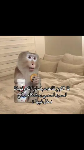 #fyp #fypシ゚ #الشعب_الصيني_ماله_حل😂😂 #creatorsearchinsights 