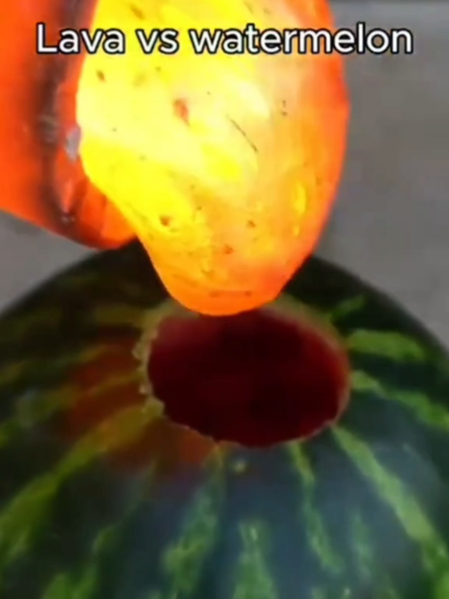 #🐈 #cat #edit #recommendations 