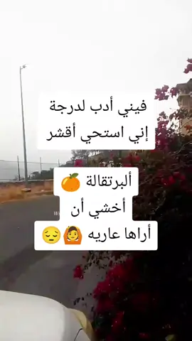 #الشعب_الصيني_ماله_حل😂😂 #كسبلور❤️❤️❤️🌸☕👋 #وحيدالعطوي 