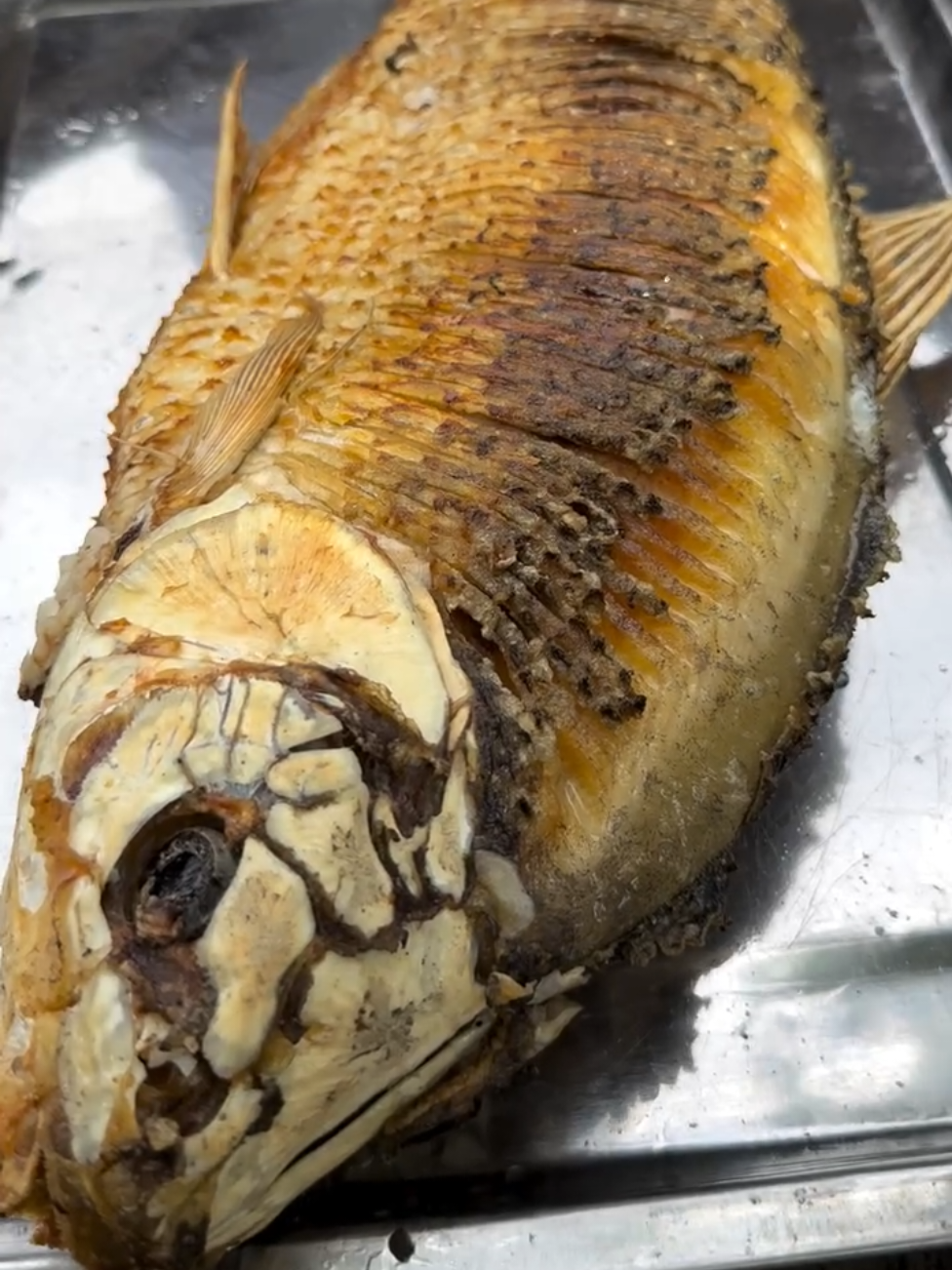 #fishing #latestfood #villagefood #foryoupage #food 