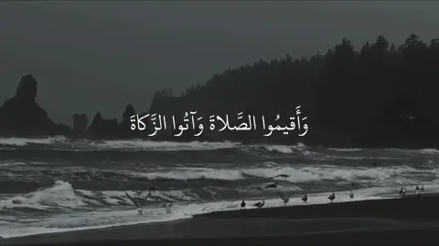 #قران_كريم #اكتب_شي_توجر_عليه #ياسر_الدوسري #quran 