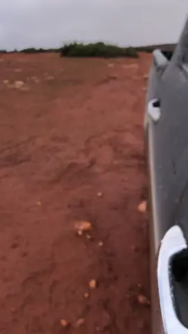 #عواقير_برقه_برسس_برقه🖤🔥 #لابيار__🔥العقوري #امساعد_طبرق__البردي_احدود_مصر #تحياتي_لجميع_المشاهدين_والمتابعين 