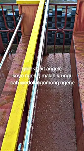 nek omongane kabeh koyok ngene, marai rak wani rabi😄 #viraltiktok #cahwedoksaikijahatjahat #josjiss💥 #fypyo #yourpage 