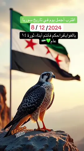 اقترب أجمل يوم في تاريخ سوريا بالغوا بأفراحكم فأنتم أبناء ثورة ١٤ عام #ستوريات #سوريا #تحرير_سوريا #فرح #نصر 