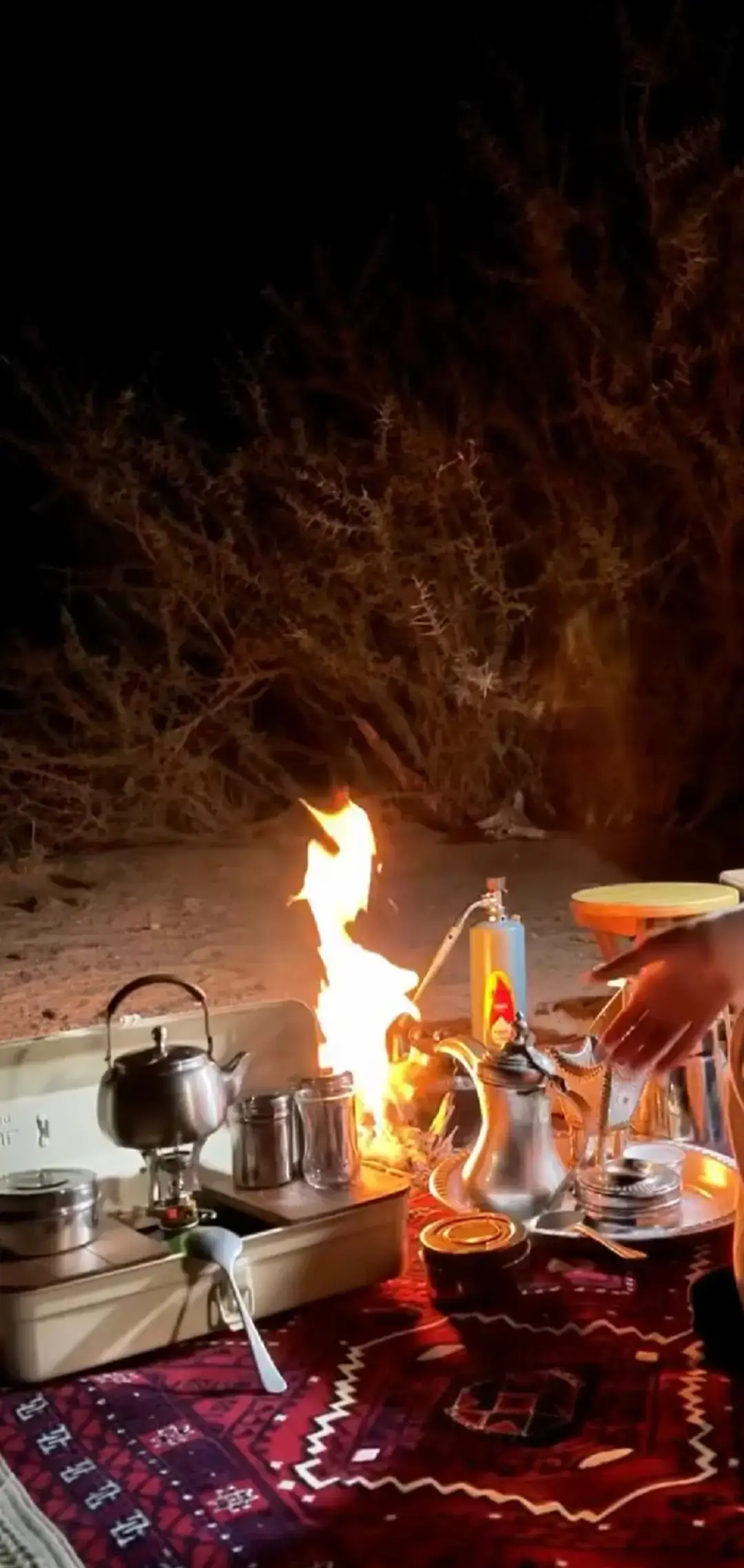 #اكسبلور #شعر #شعراء_وذواقين_الشعر_الشعبي🎸 #قصايد_شعر_خواطر_شيلات_الاكسبلور #هشتاقاتي_الترند_المشهور 