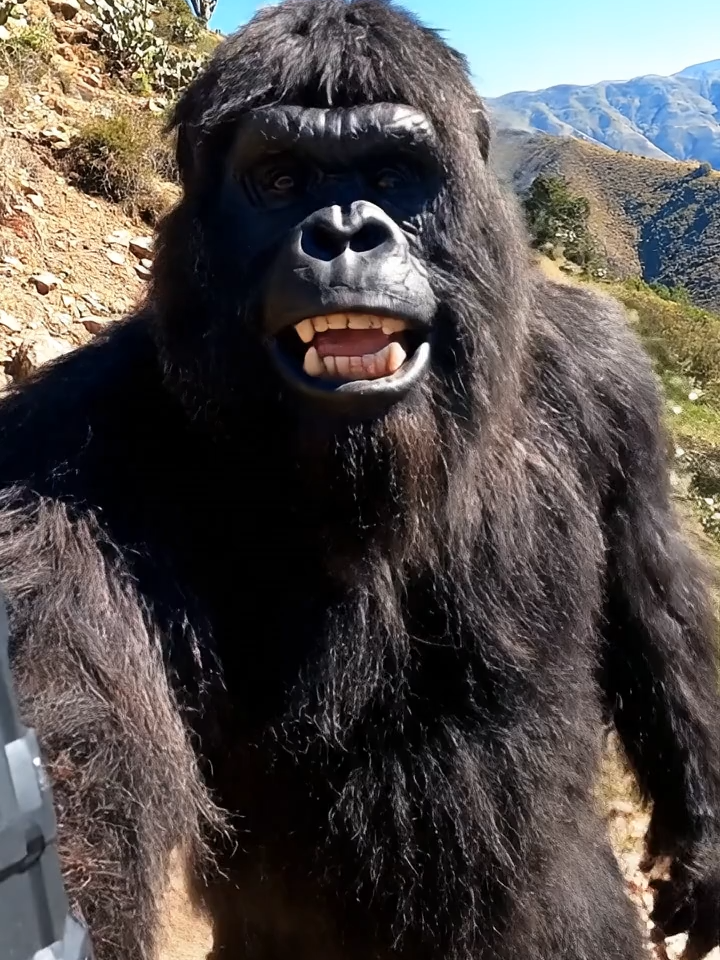 SALUDO PAL JAIME #jaime #jaimito #piegrande #bigfoot