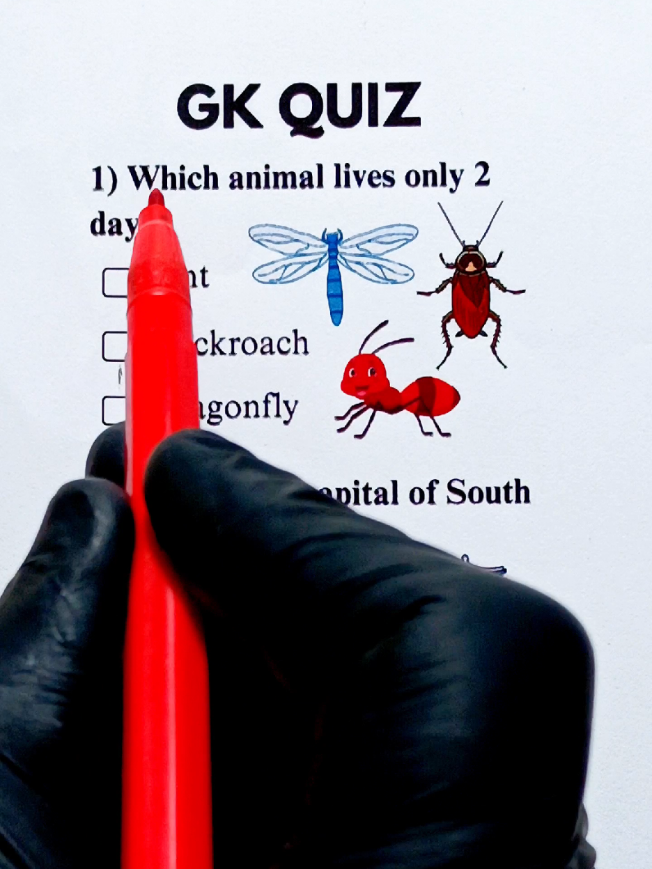 Can You Get 6/6?😱 #mrquizpedia  #LearnOnTikTok  #unfreezemyaccount  #gk    #fyp 