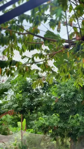 dasar kerak bumi #jogjakarta #fizr #jogjakarta #ninjassindonesia 