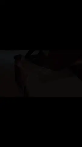 @Sara Alwari @Ghaith Marwan #سوريا🇸🇾 #ghaith_marwan #saraalwari_ #سارة_عصام #غيث_مروان 