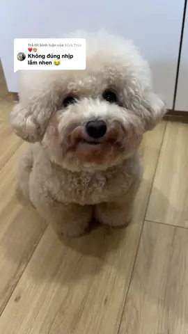 Trả lời @𝙱𝚒́𝚌𝚑 𝚃𝚛𝚞́𝚌 ❤️🙊 Hát lại cho cô nghe nè