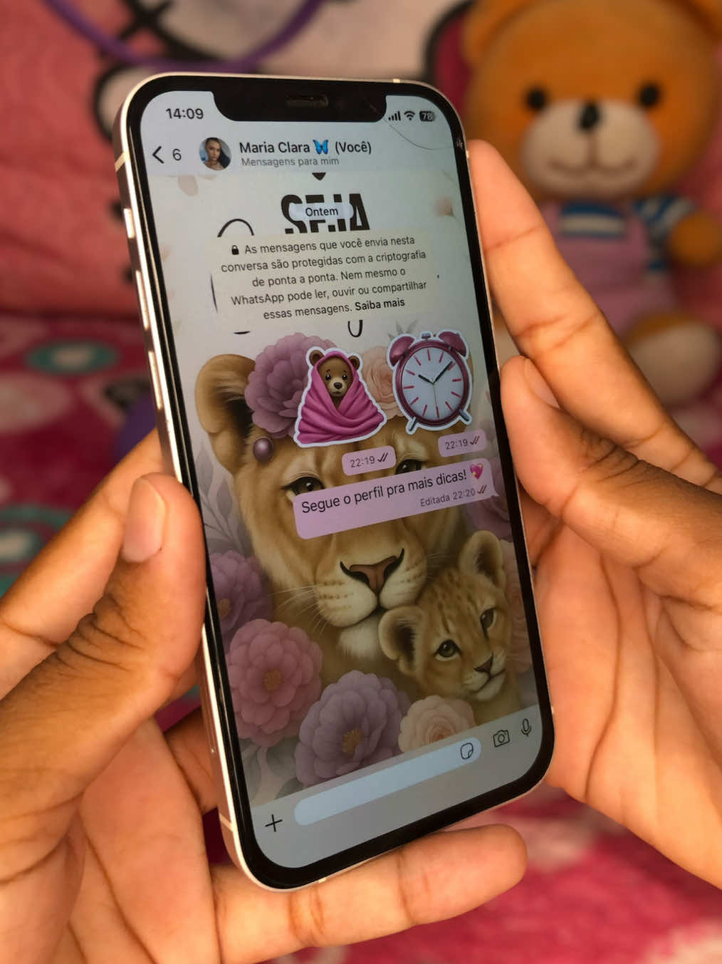 Personalizando meu WhatsApp! #whatsappstatus #iphonetips #foryoupage #apple #celular 