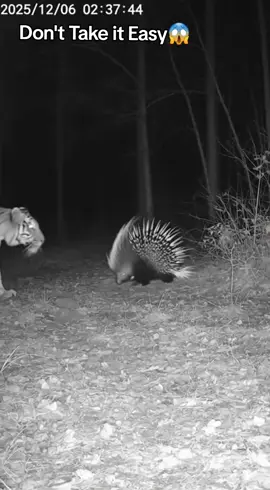 Don't take it easy😱😱 #fypp #1millonaudition #foryoupage❤️❤️ #illu #fyp 