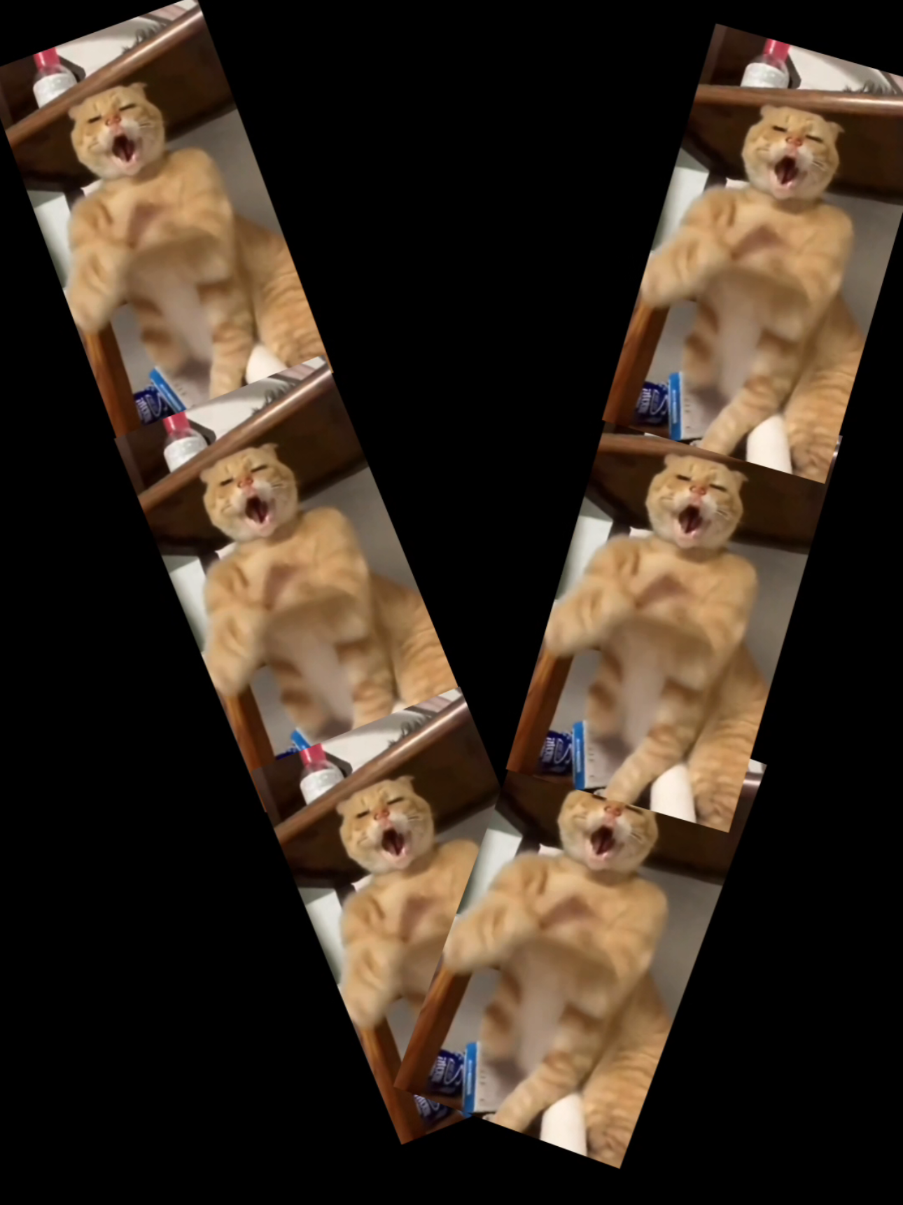 vzялся za старое  #мемас #мемасик #мемчик #смехуятина😂 #смешно #рекомендации #кошечки 