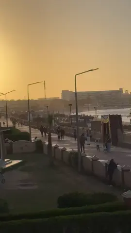 المعموره الشاطيء 🌇🌊 #عقارات  #شاليهات #شقق #تمليك #للايجار  للحجز والاستفسار 01201744222 01097092325