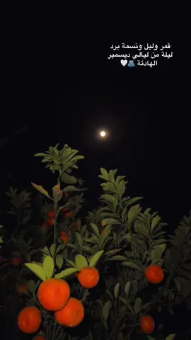 ‏قمر وليل ونسمة برد،، ‏ليلة من ليالي ديسمبر الهادئة🫂🤍