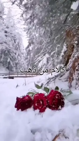 كلام من ذهب  تيتة  #اكسبلور #fyppage #for #fyp #