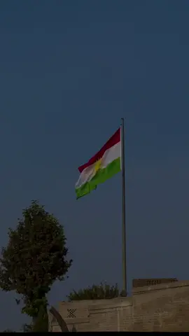 Koma Amara - Em Teyr û Bazên❤️‍🩹#kurdis #kurdstan 