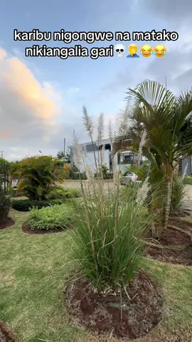 ni mbaya#fyppppppppppppppppppppppp #fyp #believe #nairobitiktokers #zetuzetu🔥🔥🔥 