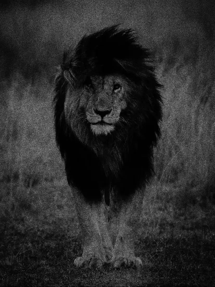 I was a hero once upon a time 💔!! . . . 👋🏿🕊.........................!!! . . . #fyp #pov #pubgmobil #explorer  #fypppppppppppppppppppp  💤🖤................................؟؟؟