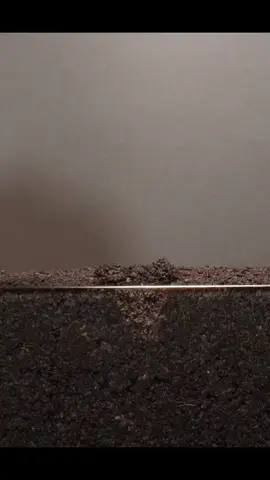 #عصام_حمود_آل_مهدي  #سورة_الأنسان #LIVEFest2025 