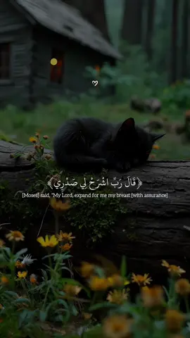 Surah Taha | Beautiful Recitation  ‏#allah #zeealquran #القران_الكريم #quran_alkarim   #عبدالرحمن_مسعد ‏  