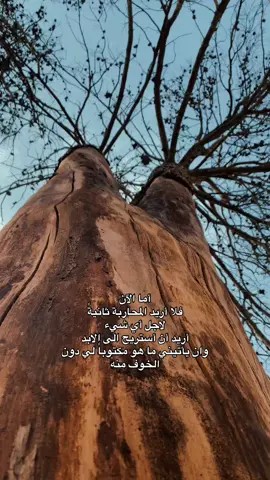 #كربلا #بغداد 💔✨