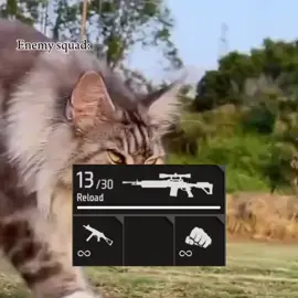 FREE FIRE:my squad😭#freefire#fypシ゚viral🖤tiktok #fypシ゚ 