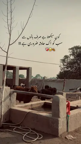 مخلص لوگ کم ملتے ہیں ❤️‍🔥💯 