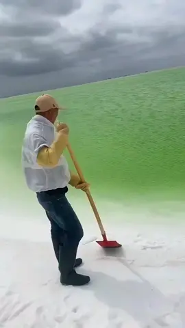 #asmr  #fpy  #amazing  #satisfying  #oddlysatisfying 