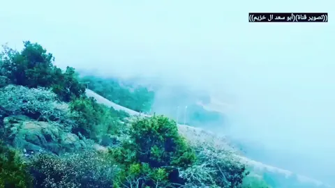 #لعب خطوه بصوت/ محمود سعيد