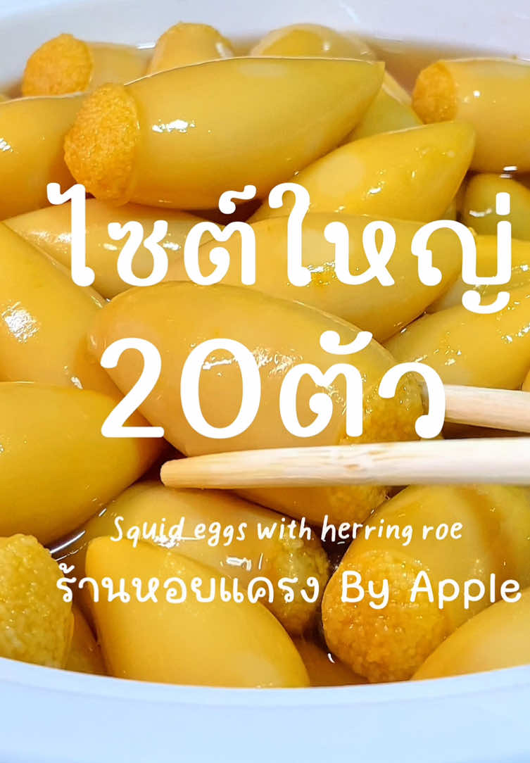 ใครยังไม่นอนมาร้องเพลงนี้ไปด้วยกัน😮‍💨 #squideggswithherringroe  #ปลาหมึกยัดไส้ไข่ปลาเฮอริ่ง  #komochiyariika  #แอปเปิ้ลขายแต่ของดีดี  #องค์หญิงปิ๊ใหญ่ 