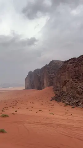 #تصويري #تبوك #بجده #اكسبلور 