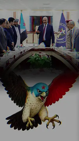 المجلس الانتقالي الجنوبي  #حضرموت  #حضرموت_وادي_عمد_الهجرين_وادي_العين  #المجلس_الانتقالي_الجنوبي  #القوات_الجنوبيه_الجنوبيه  #شعب_الصيني_ماله_حل😂😂😂 