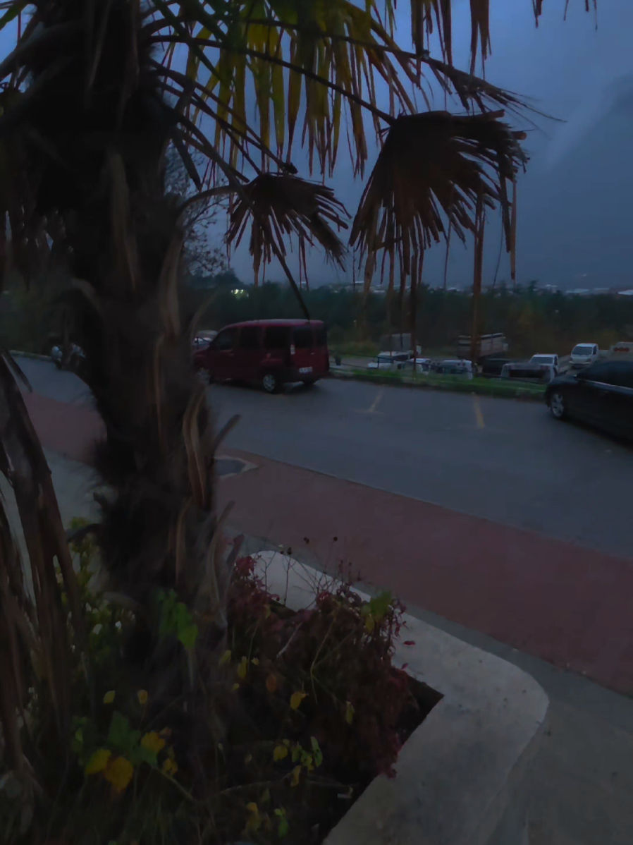 فكم من نعمة زالت حين عصي المنعم.... وكم من بلاء رفع حينما طهرت القلوب من الغفلة  فاتقوا الله واحمدوه على ماانعم علينا ولاتعصوه في نعمته 🥀