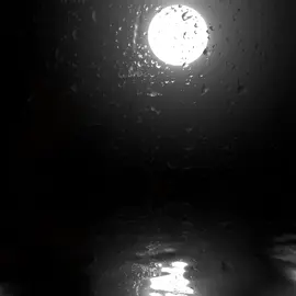 #nestorenbloque#cumbiaargentina🇦🇷🇦🇷 #acapella#miunicoamor#cumbiavillera🎶🎼🇦🇷 