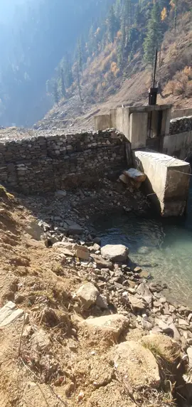 #fypシ #fypシ #fypviralシ #fouryou 