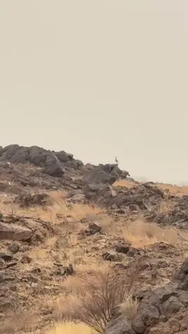 #الشعب_الصيني_ماله_حل😂😂 #جبال #مكشات_رحلات_سجات_بر 