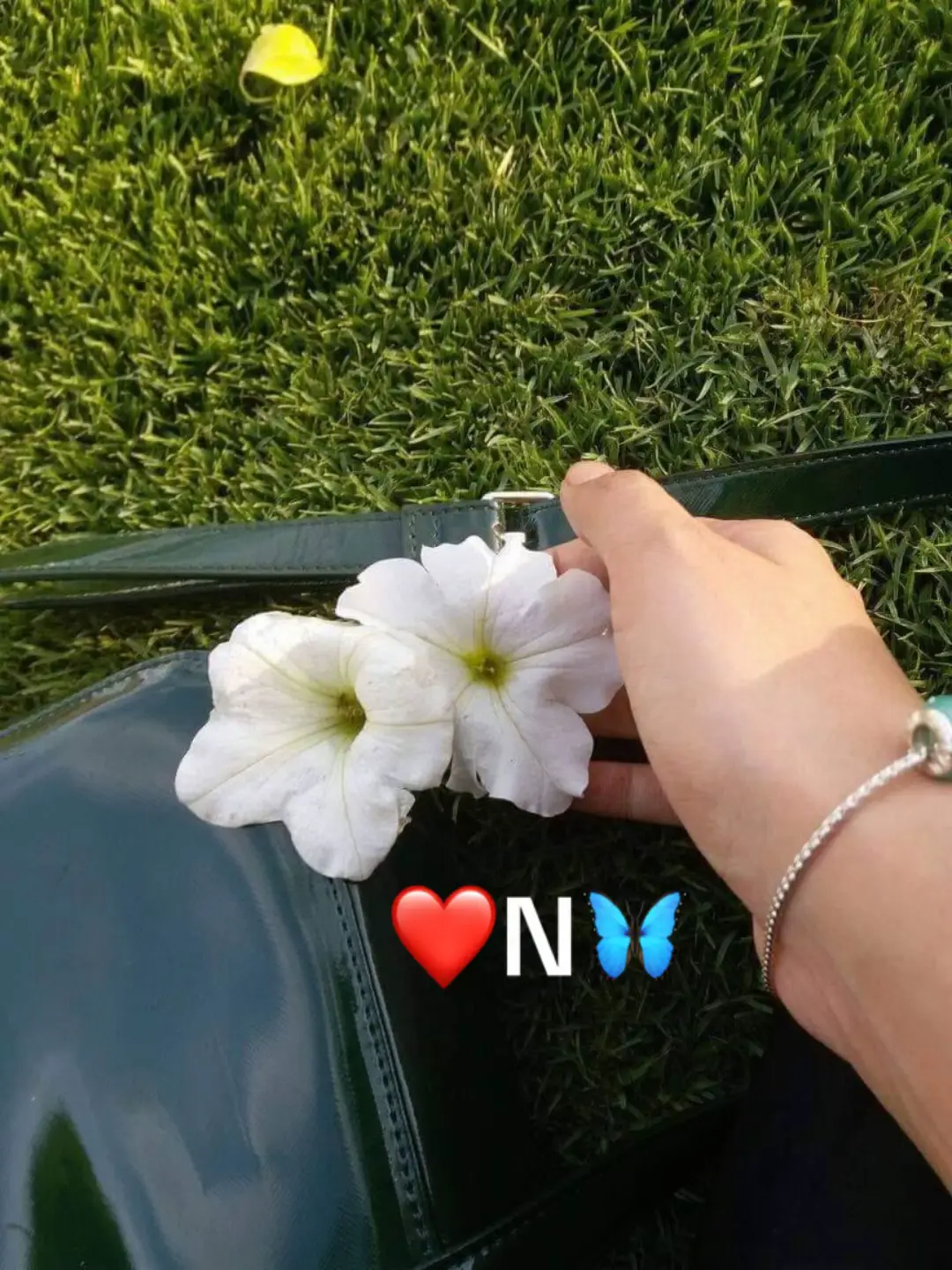 #fypシ゚ #foryou #❤️N🦋 