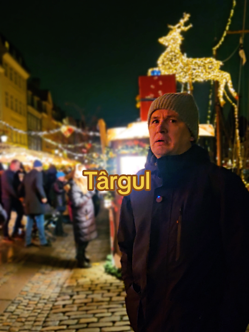 Târgul de Crăciun #tiktokromania #parodie #craciun2025 #familie #rude 