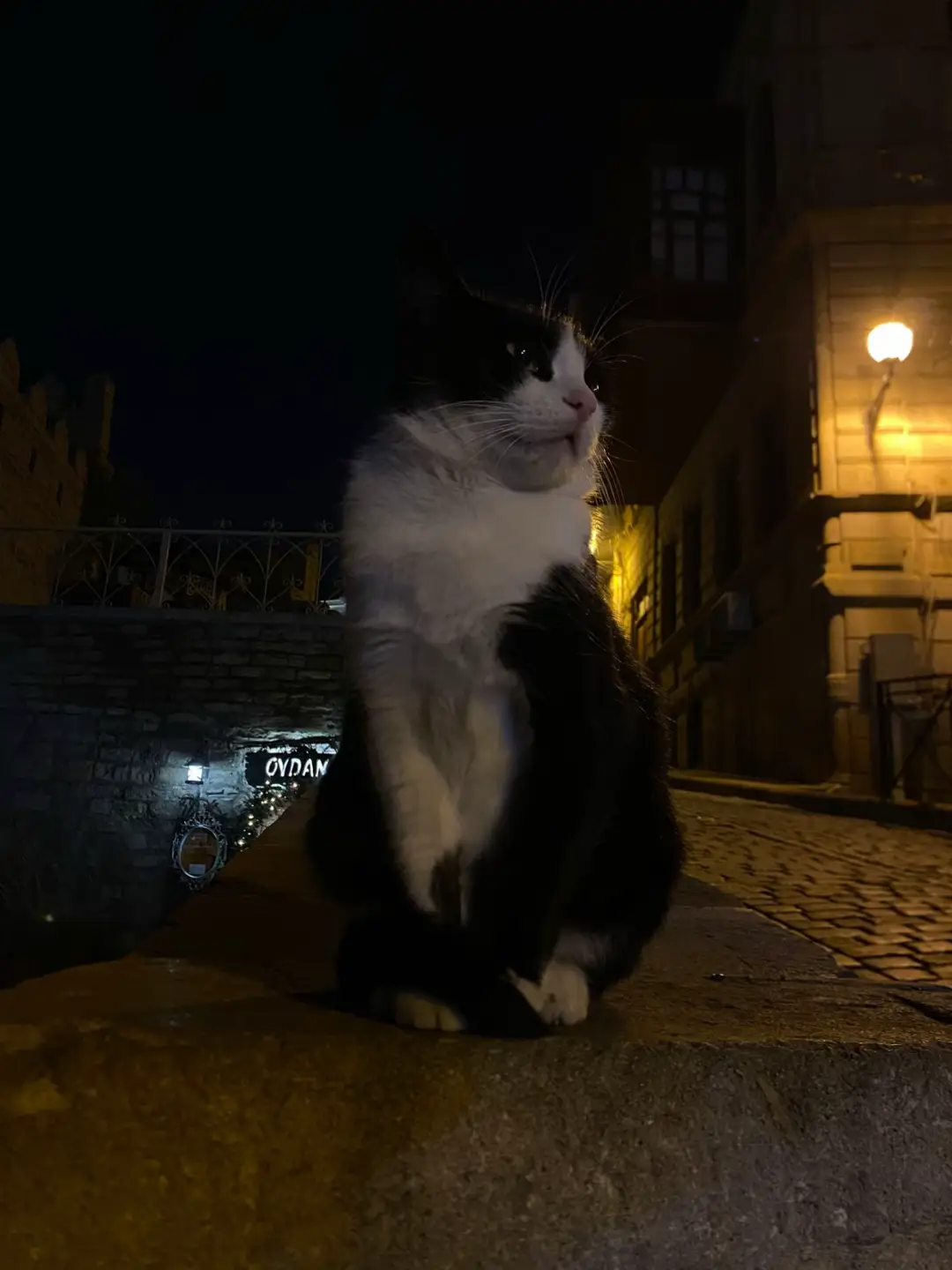 #tiktok #explore #fyp #winter #keşfet 