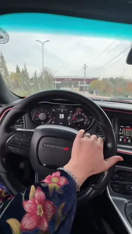 #ardawanzaxoli #afh⚖️ #dodgechallenger #uoz_zakho🏛 #delalbridge 