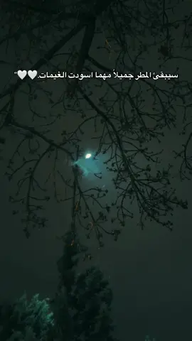 #قونيا_علاءالدين #محمود_الياسر #الشعراء_وذواقين_الشعر_الشعبي #تصويري📸 #مطرت_والمطر_ذكرني_بيك 