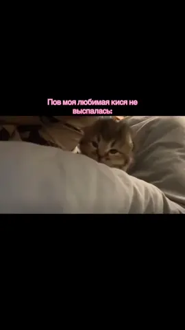 ну моя ну самая лучшая, ну вообще милашка моя жужу