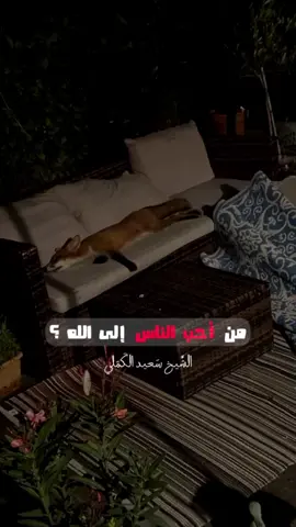 #اللهم_صلي_على_نبينا_محمد #اللهم_توفني_مسلماً_وألحقني_بالصالحين #سبحان_الله_وبحمده_سبحان_الله_العظيم #explore 