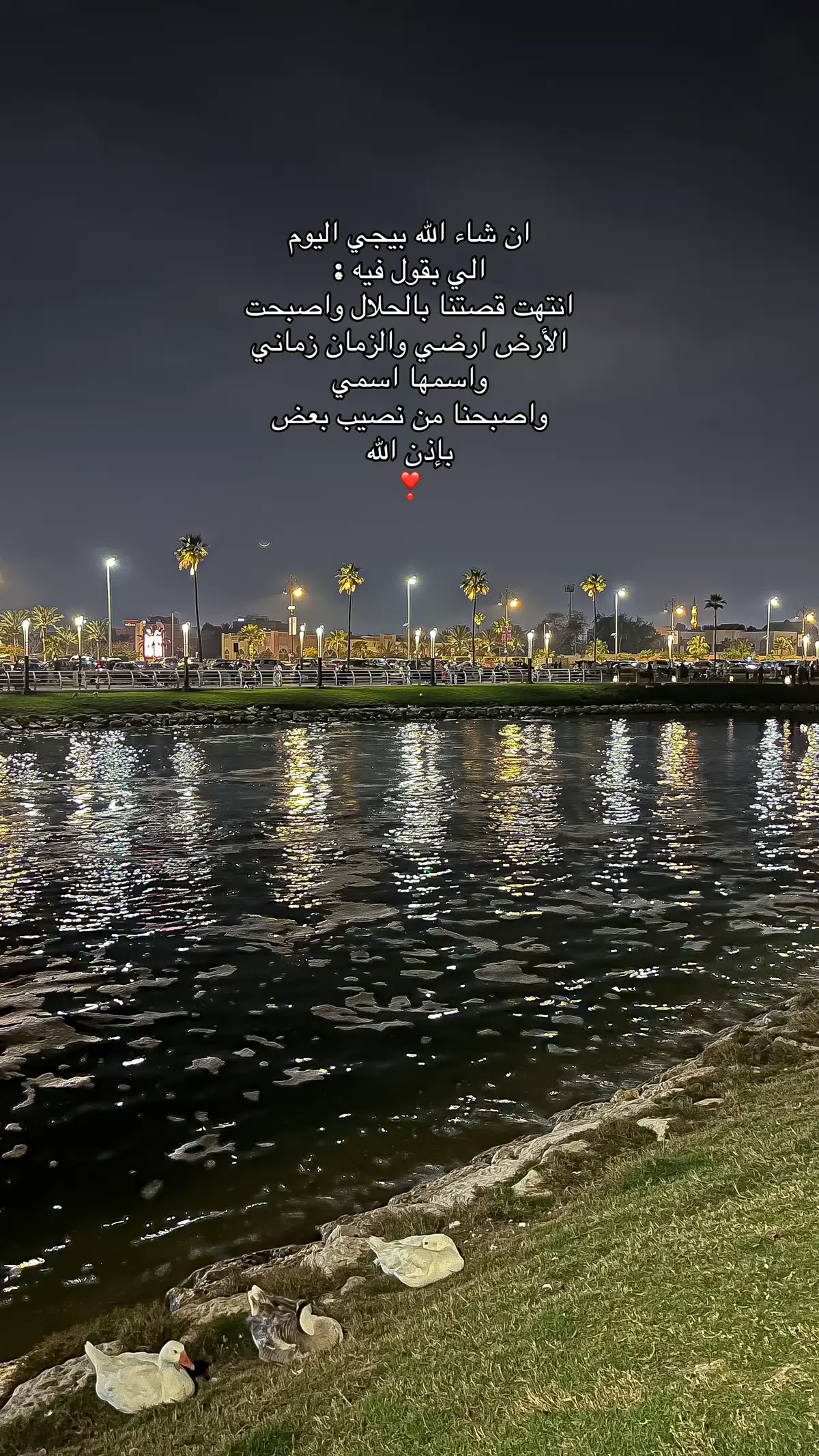 #الله_يجمعني_فيس_بالحلال #اكسبلورexplore #دعاء #قران #محبوبتي 