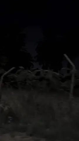 #اكسبلورexplore #قمرا #اقتباسات #تصوير_ايفون 